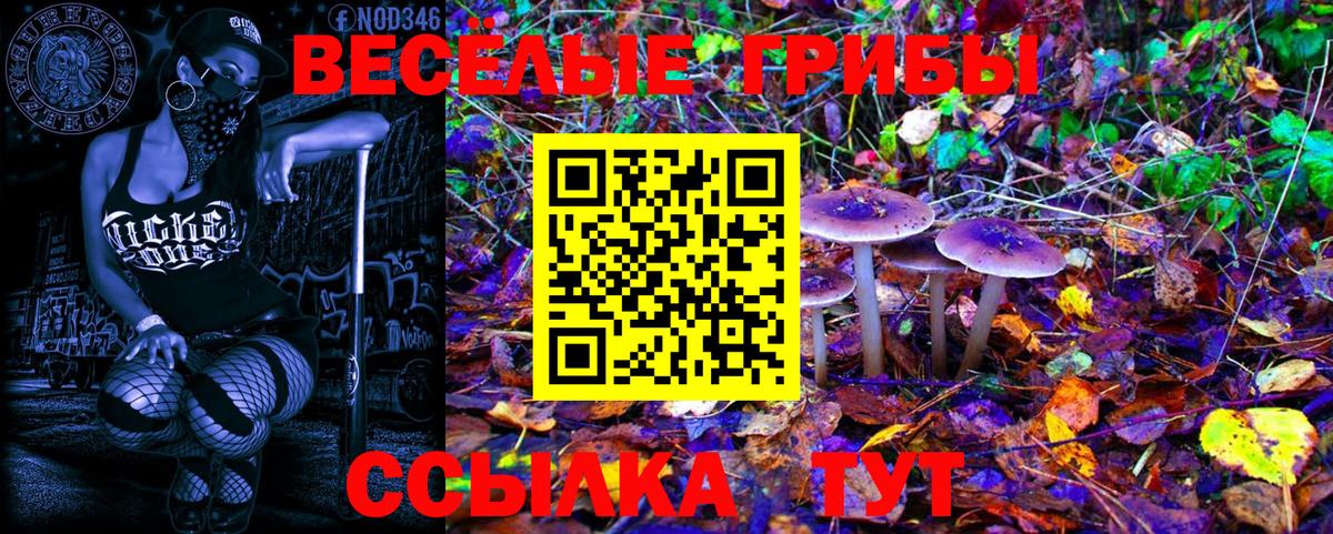 Галлюциногенные грибы Psilocybe  Вход с VPN  Ликино-Дулёво 